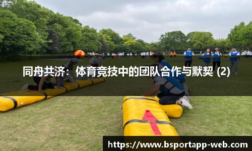 bsports平台